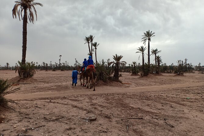 Marrakech Camel Safari at Agafay Desert - Cancellation Policy