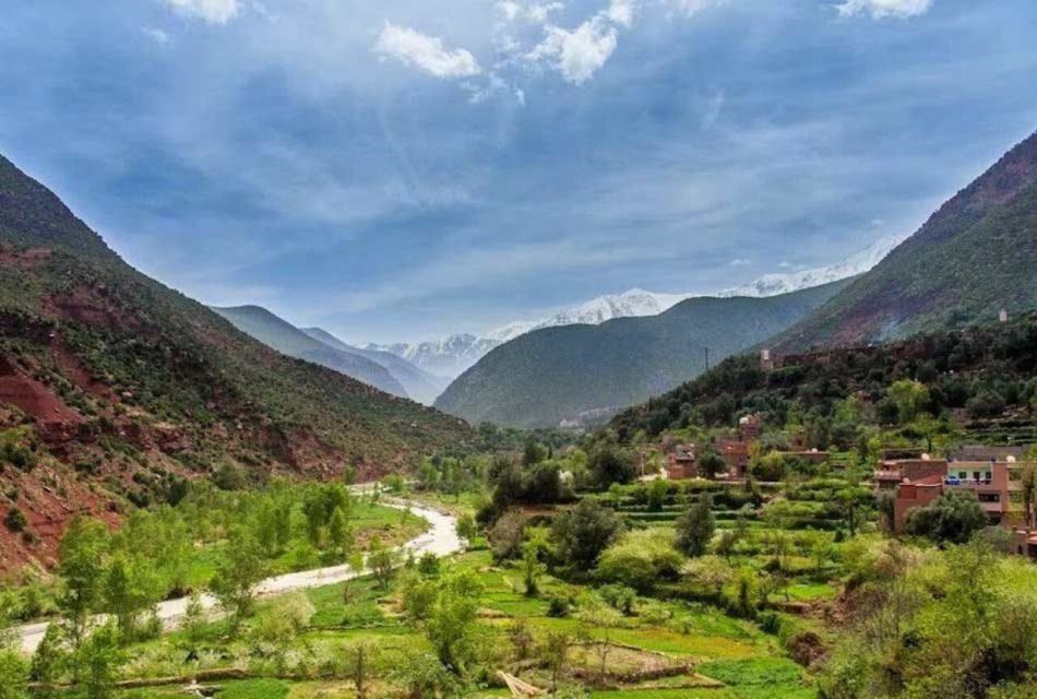 Marrakech: Day Trip to Ourika Valley and Setti Fadma - Trekking Through Ourika Valley