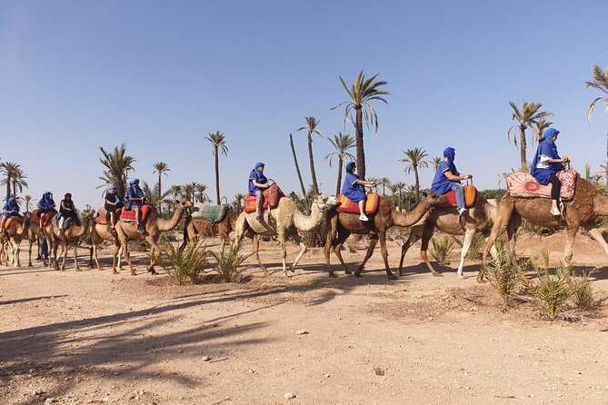 Marrakech Desert Camel Ride - Customer Feedback and Ratings