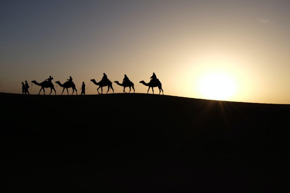 Marrakech Desert: Camel Riding, Dinner With Music & Show - Included Activities on the Tour