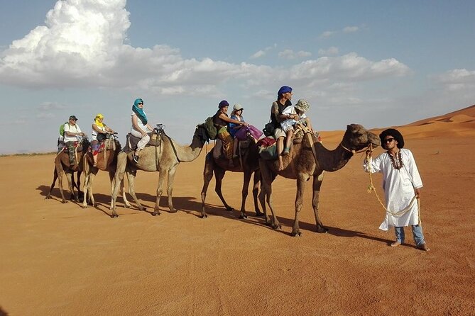 Marrakech Desert Tour to Fes - Customer Experience