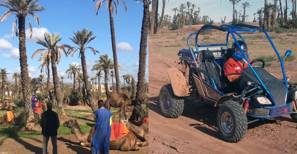Marrakech: Half-day Dunes Trip With Buggy and Camel Ride - Customer Satisfaction and Reviews