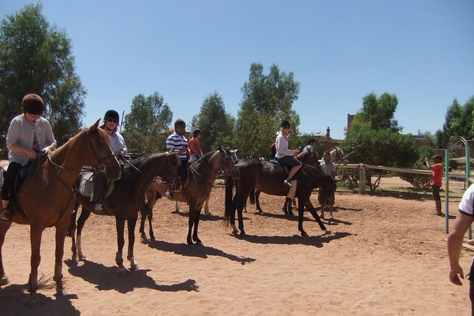 Marrakech Horse Riding - Last Words