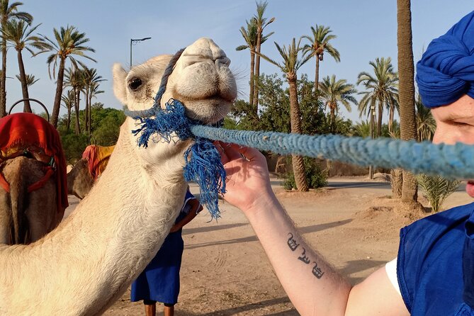 Marrakech Luxery Sunset Camel Ride - Last Words