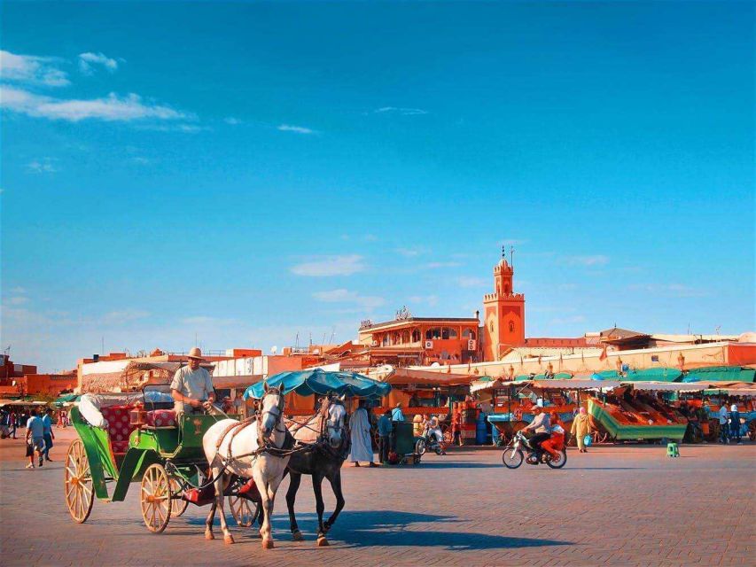 Marrakech: Majorelle & Menara Gardens Tour & Carriage Ride - Full Description