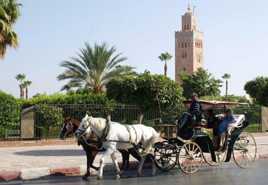 Marrakech: Majorelle & Menara Gardens Tour & Carriage Ride - Tour Highlights