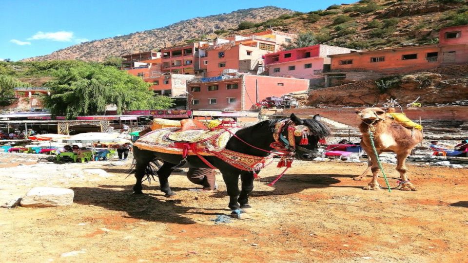 Marrakech: Ourika Valley and Atlas Mountain Day Excursion - Price Information