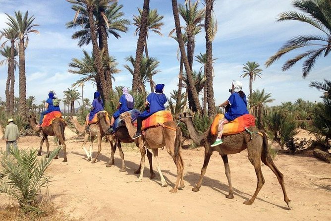 Marrakech Palm Grove ATV and Camel Ride Small Group Tour - Pricing Information and Operational Details