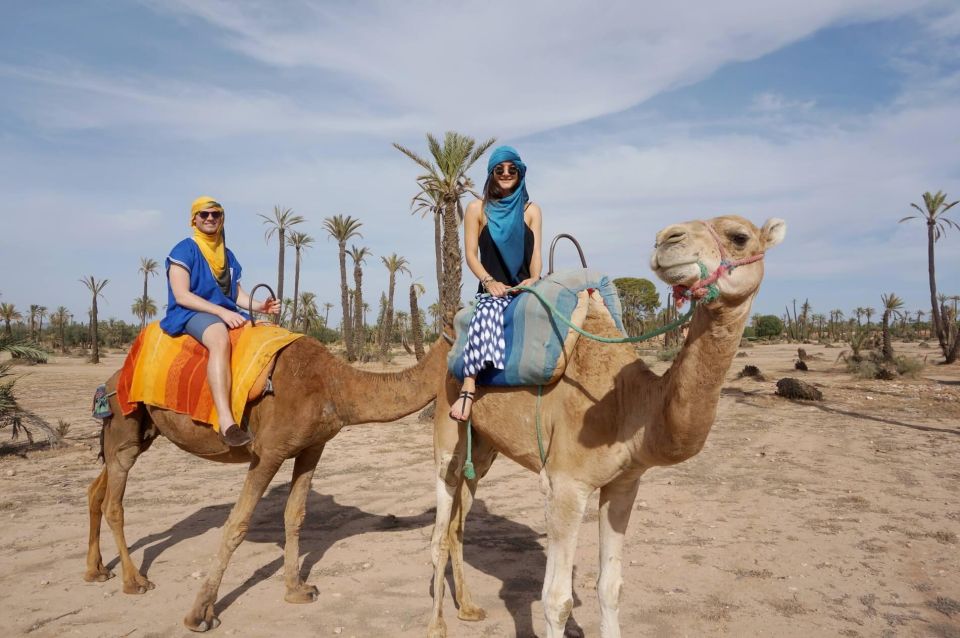 Marrakech Palmeraie : 3 Hours Camel Ride & Quad Bike - Common questions