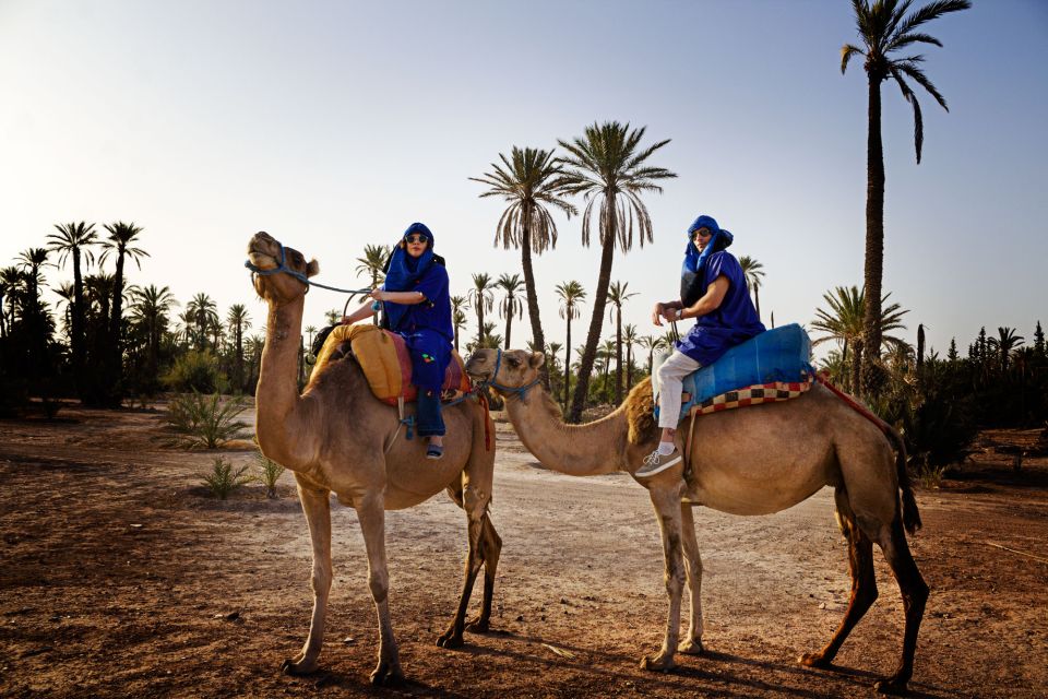 Marrakech Palmeraie: Camel Ride at Sunset - Additional Information and Tips