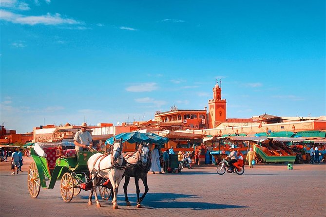 Marrakech Private Full Day City Tour With a Driver - Inclusions Provided