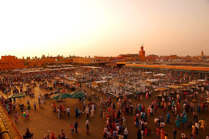 Marrakech : Private Guided Half-Day City Tours - Day Trips and Review Verification