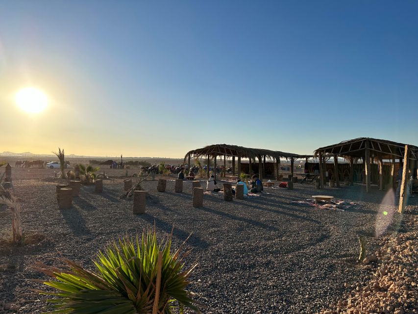 Marrakech: Quad Biking Tour in the Palm Grove Dunes With Tea - Customer Reviews and Ratings