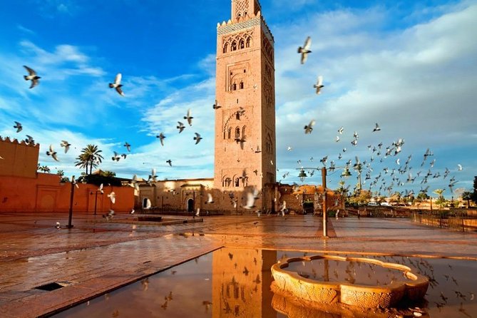 Marrakech Sightseeing Tour - Customer Reviews and Satisfaction