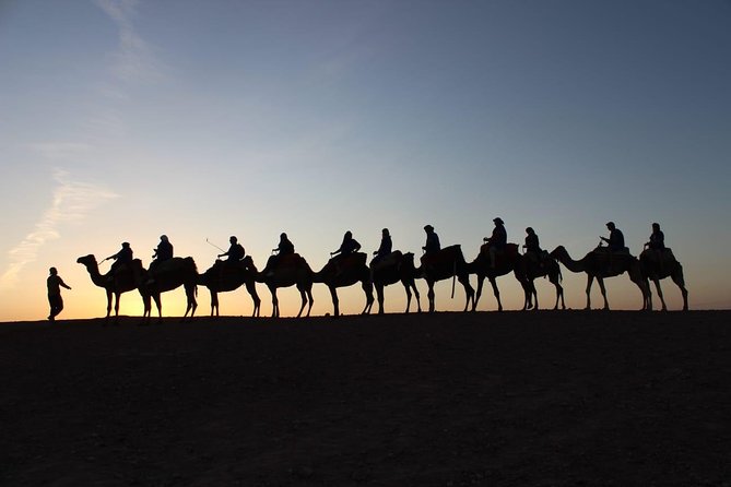 Marrakech Sunset Camel Ride in the Palm Groves - Pricing and Contact Information