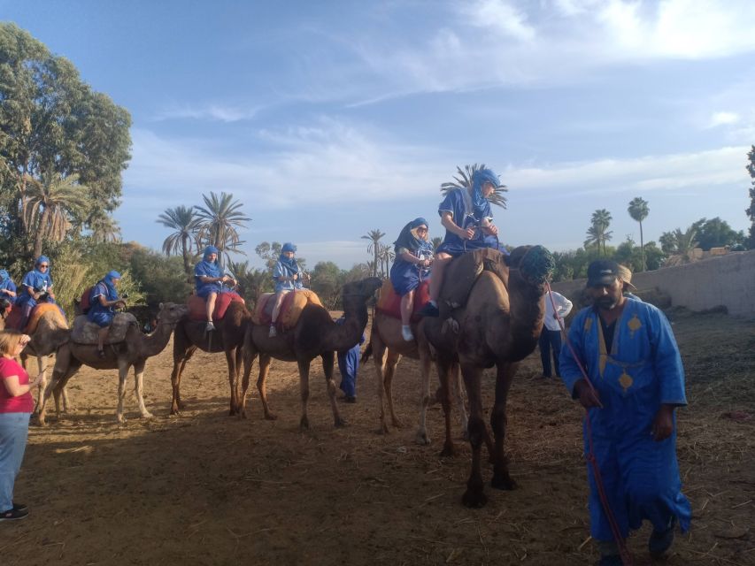 Marrakech: Sunset Camel Ride in the Palmeraie - Product Details