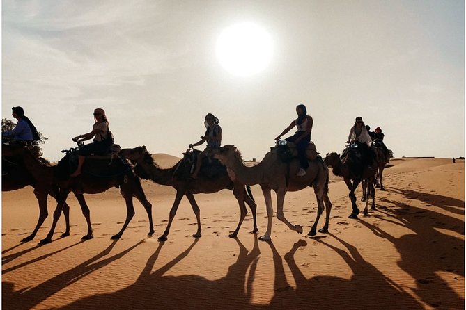 Marrakech to Merzouga 3-Days Group Desert Tour - Cancellation Policy