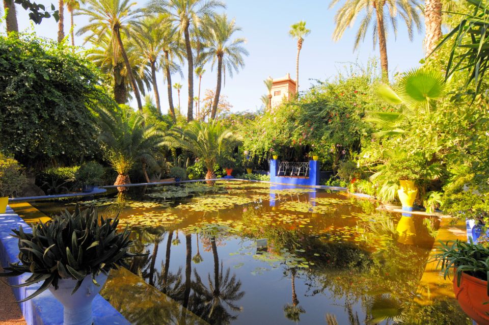 Marrakech Tour Gardens Majorelle, Menara & Anima Gardens - Rating & Reviews