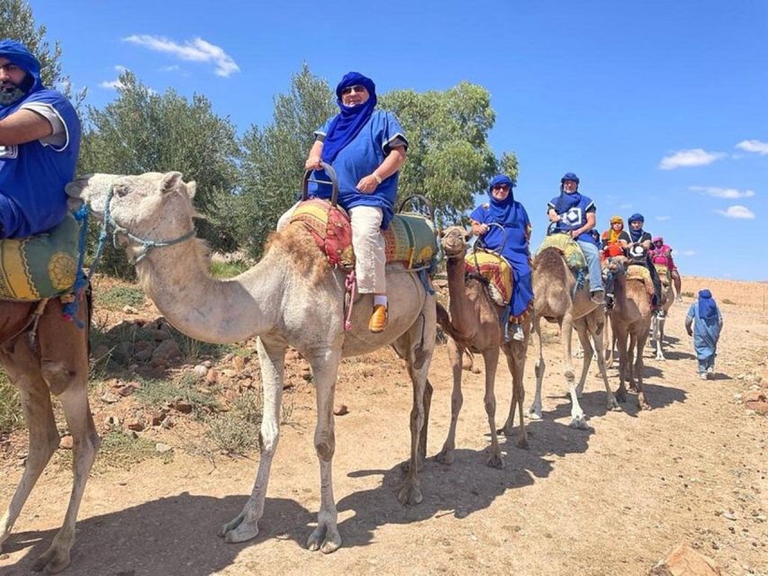 Marrakech:Atlas Mountains,Ourika Valley,Waterfall,Camel Ride - Camel Ride Experience