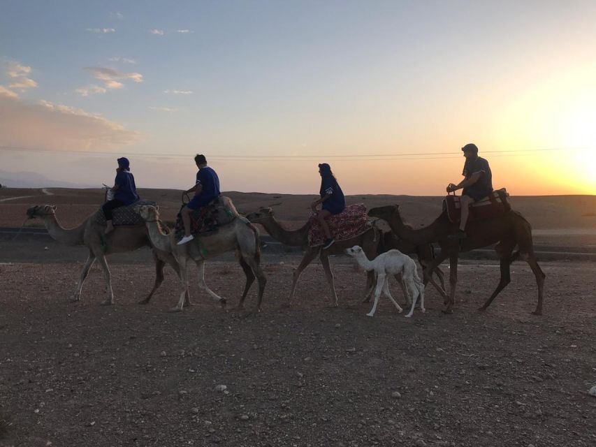 Marrakesh: Agafay Desert Quad & Camel Tour With Dinner - Review Summary