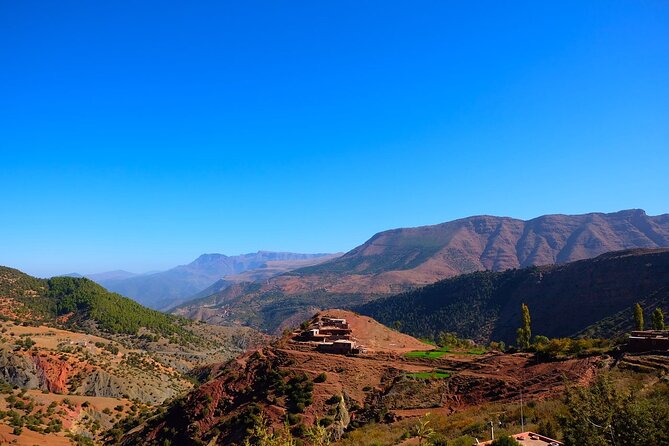 Marrakesh: Agafay Desert Tour With Lunch and Camel Ride - Review Details