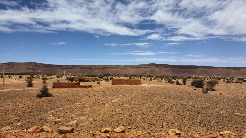 Marrakesh: Agafay Desert Tour With Lunch and Camel Ride - Ratings and Reviews