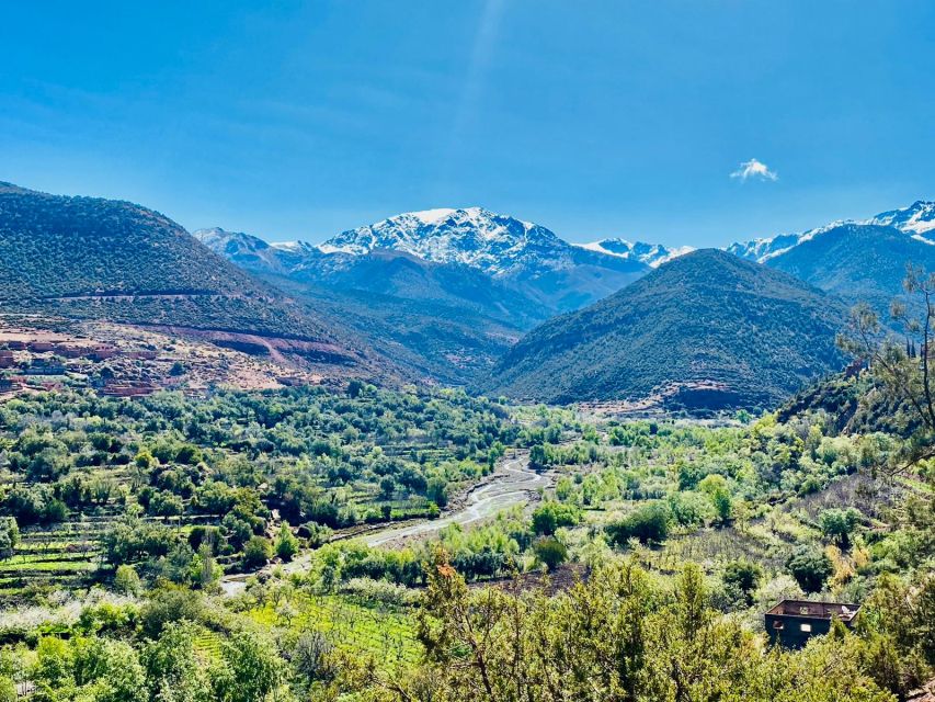 Marrakesh: Atlas Mountains, Three Valleys & Waterfalls Tour - Customer Ratings