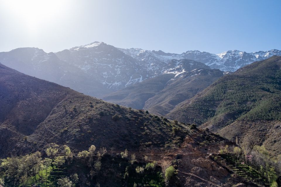 Marrakesh: Berber Villages, Atlas & Green Valleys 4-Day Trek - Language and Guide Services