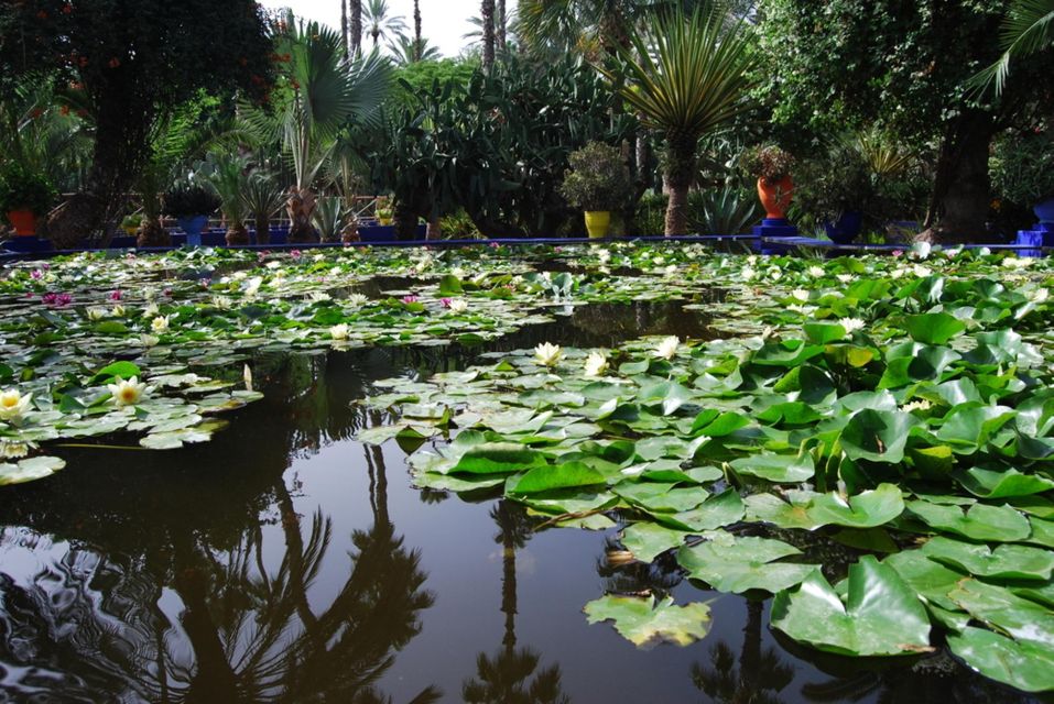 Marrakesh Walking Guided Tour - Tour Highlights and Itinerary