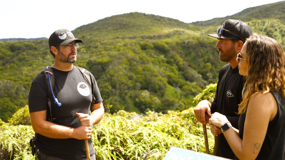 Maui: Honolua Ridgeline Informational Hike - Participants and Date Selection