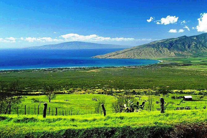 Maui Island Private Day Tour - Convenient Meeting Points