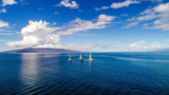 Maui: Ka'anapali Wild Dolphin Sail - Common questions