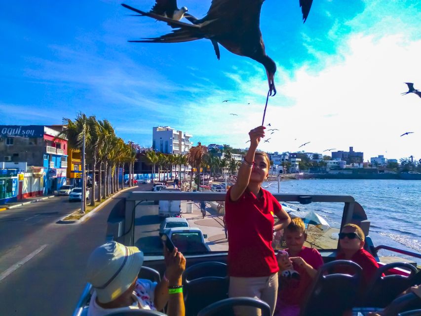 Mazatlán: Double-Decker Bus, Cliff Diving & Walking Tour - Review Summary