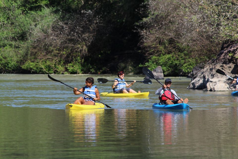 Mazatlan: River Kayaking With Lunch & Tequila Tasting - Customer Reviews and Feedback