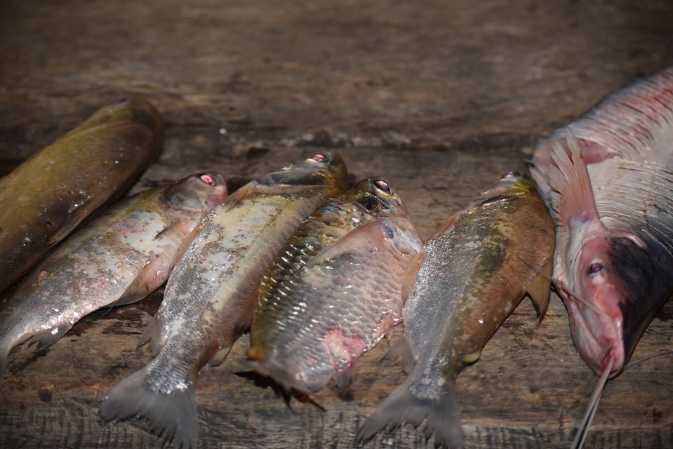 MDD: Yacumama Lake and Piranha Fishing - Participant Information and Requirements