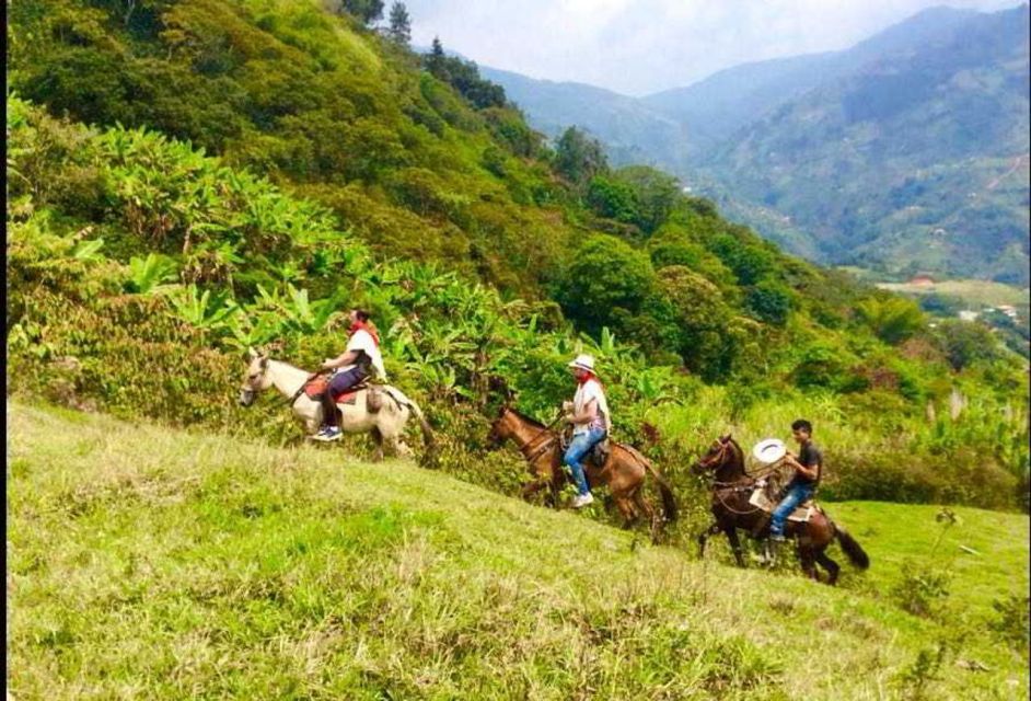 Medellín: Authentic Colombian Horseback Ride - Location Details