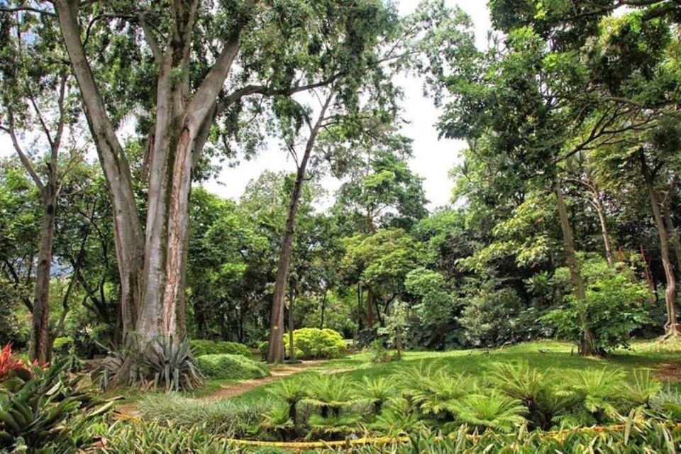 Medellín: Botanical Gardens Half-Day Tour - Cultural Experience