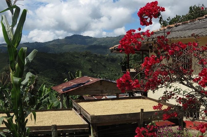 Medellín Coffee Tour to Concordia - Logistics
