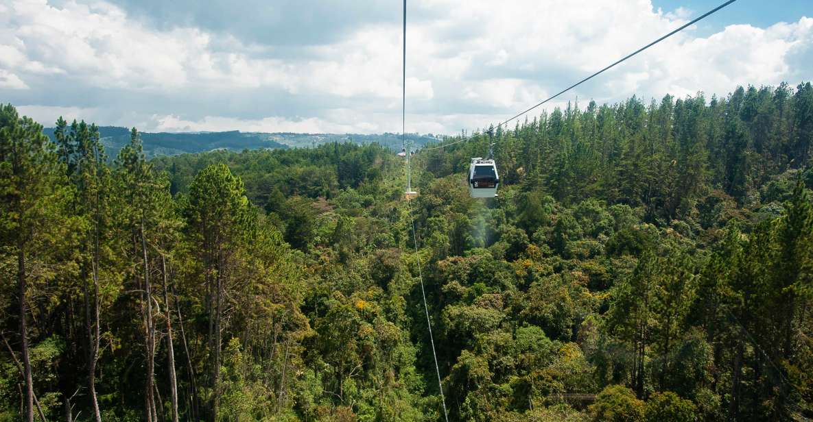 Medellin: Guided Nature Discovery Tour - Common questions