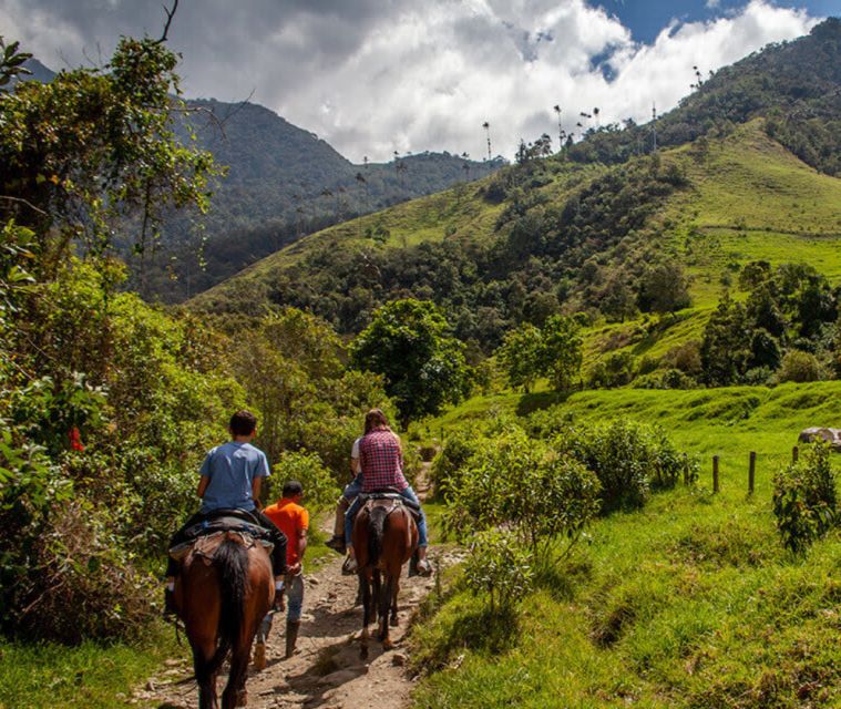 Medellin: Guided Tour on Horseback in Nature - Restrictions and Requirements