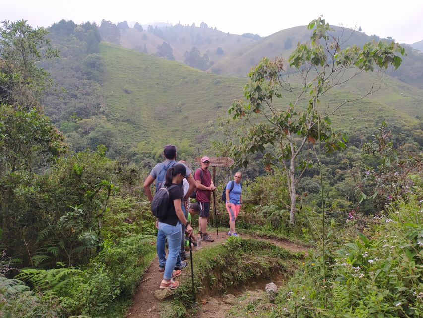 Medellin: Half–Day Private Nature Tour & Waterfall Hike - Exploration of Andean Nature