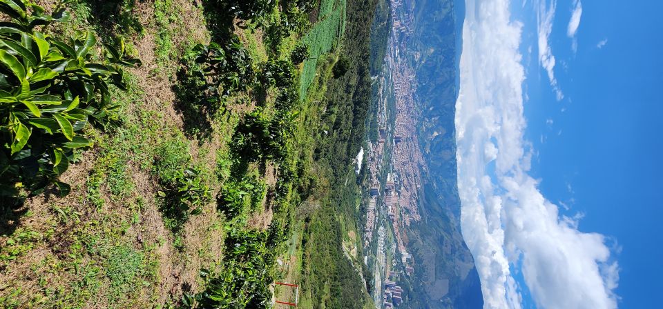 Medellin: Mountain Bike Coffee Farm Tour and Spa Experience - Experience Highlights