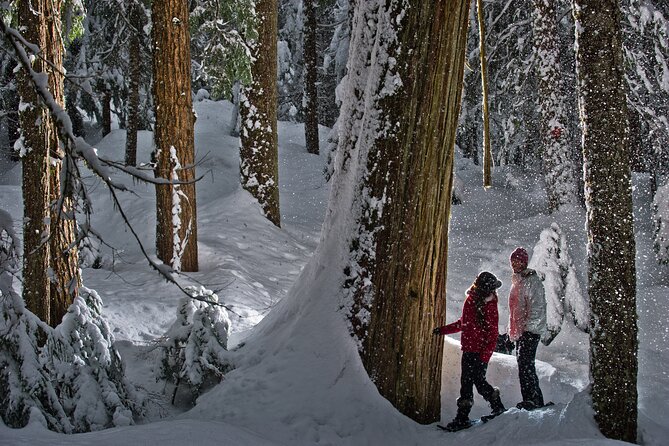 Medicine Trail Snowshoe Tour - Safety and Restrictions