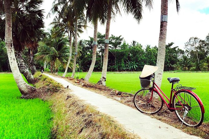 Mekong Delta Guided Tour to Vinh Trang Pagoda and Coconut Land - Visual Insights and Testimonials