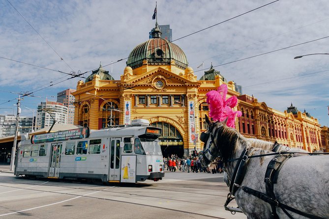Melbourne One Day Tour With a Local: 100% Personalized & Private - Private Group Tour Details