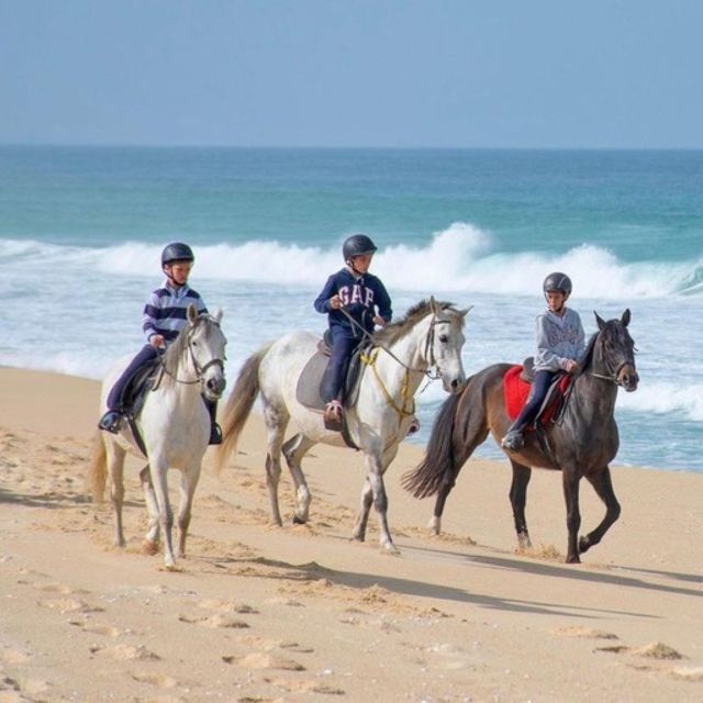 Melides: Horseback Riding on Melides Beach - Customer Reviews