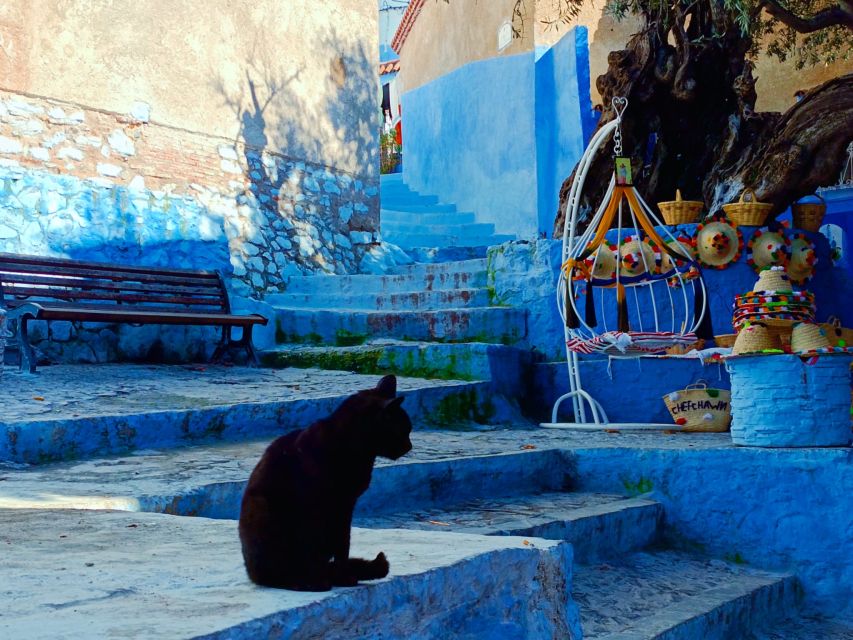 Memorable Day Trip From Fez to Chefchaouen the Blue City - Common questions