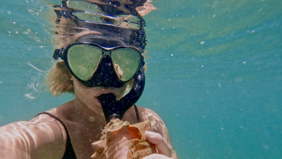Mermaid Snorkel and Video Shoot - West Palm Beach - Booking Information