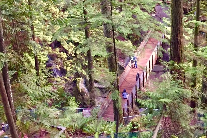 Mesmerizing Nature Walk in Lynn Canyon Park - Stunning Sights Along the Trail