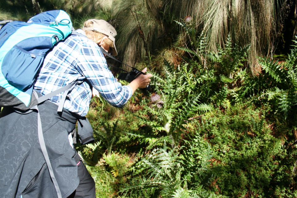 Mexico City: Guided Volcano Trek With Lunch - Customer Reviews